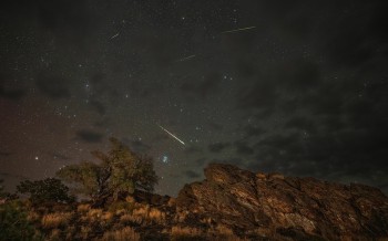 Levons les yeux, la nuit, pour voir les Perséides