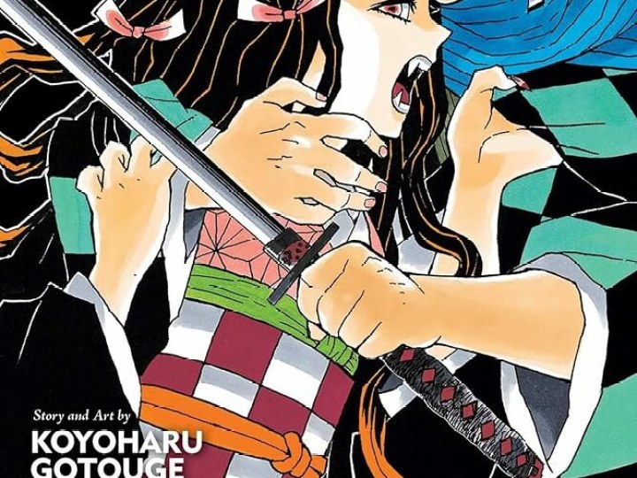 Demon Slayer : aucune surprise, et j'ai quand même tout lu